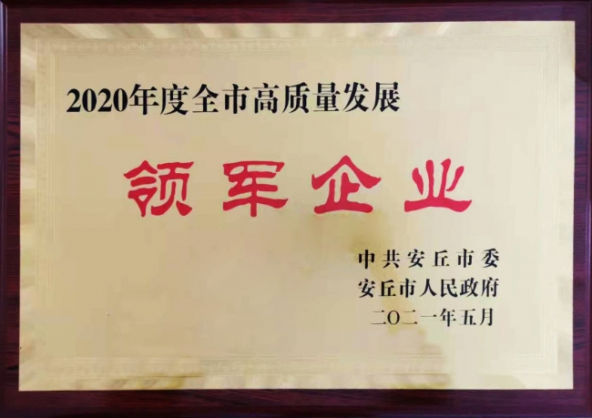 高質(zhì)量領(lǐng)軍企業(yè)